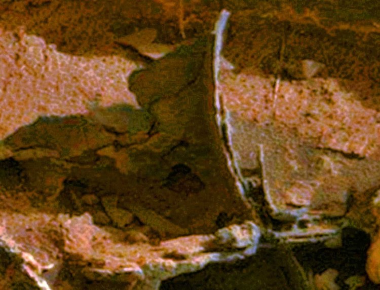 Martian-bracket-Curiosity