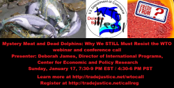 mystery dolphin wto nonfb