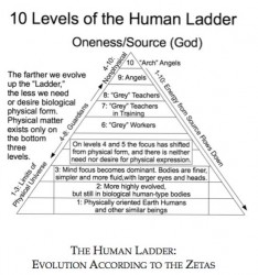 Human-Ladder