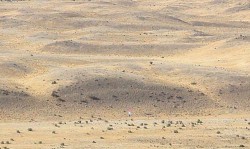 1039-Looking-across-West-Bar-current-ripples.-Note-human-figure-for-scale