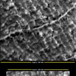 3. Evidence of ruined structural grids in the DM Pyramid in Cydonia