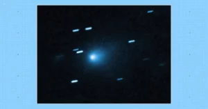 Click to Visit Website